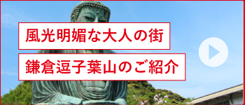 湘南鎌倉逗子葉山エリア情報
